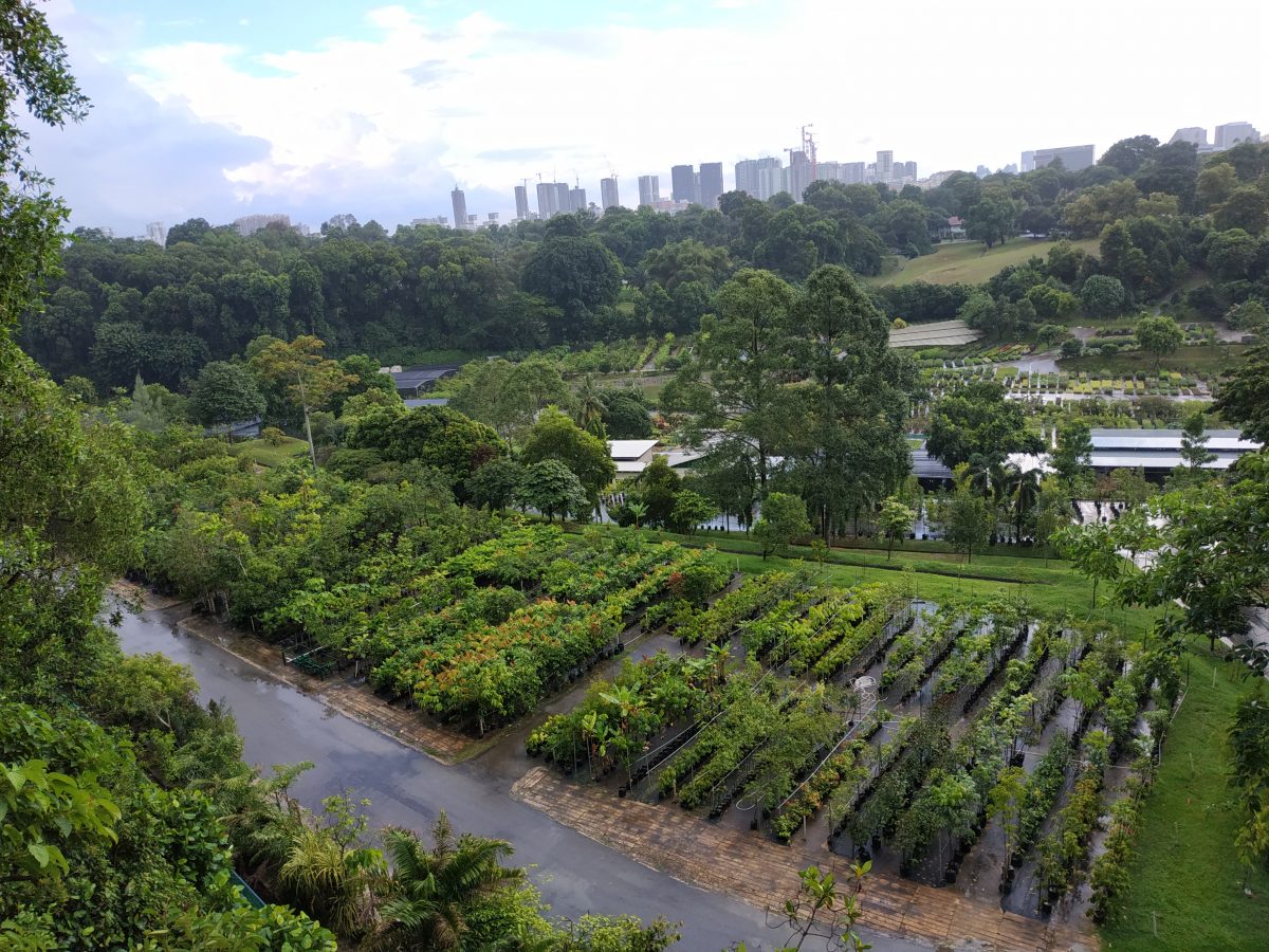 Day at Hortpark (July 25th 2020