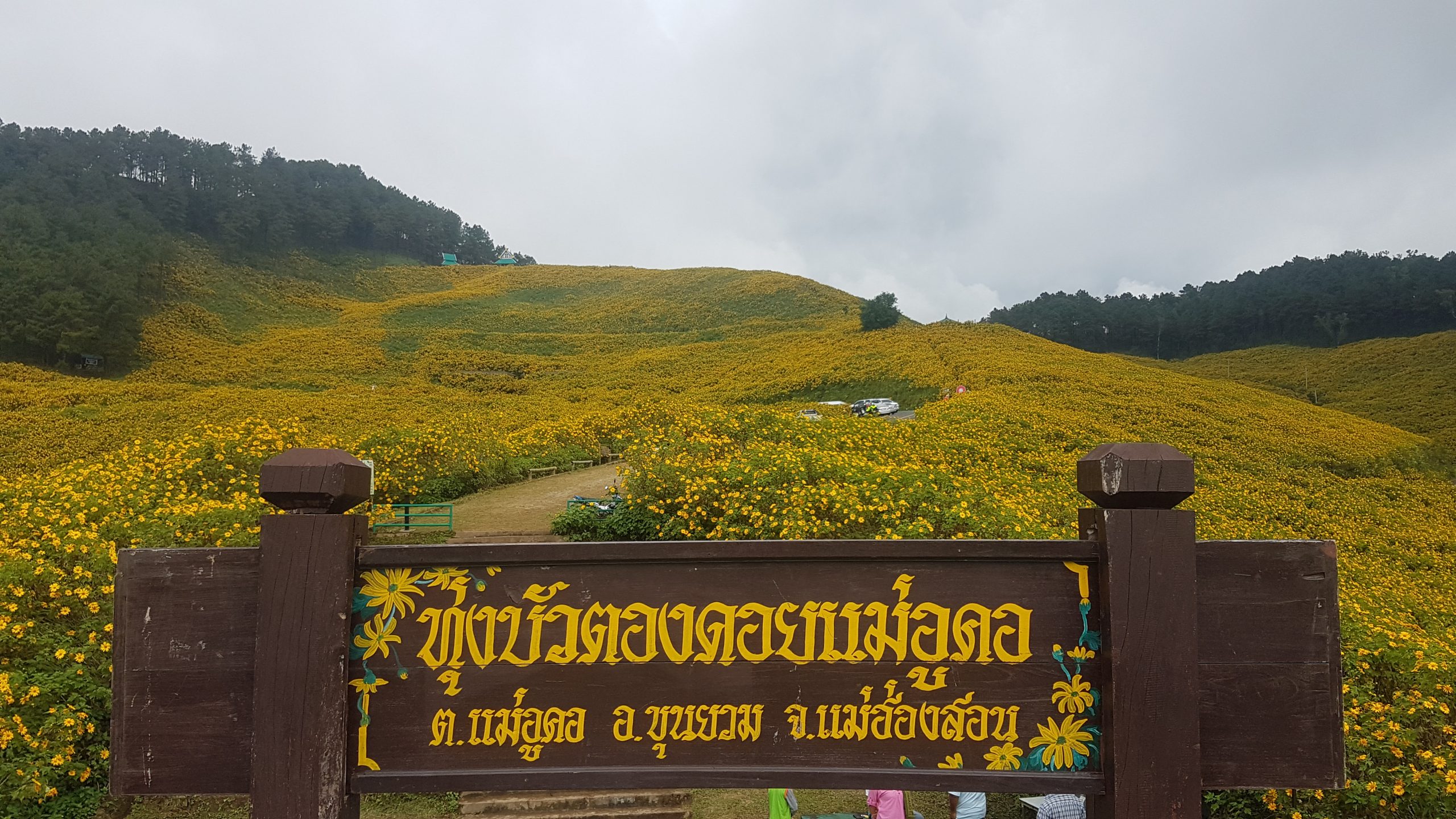 Mae Hon Soon loop: Day 1