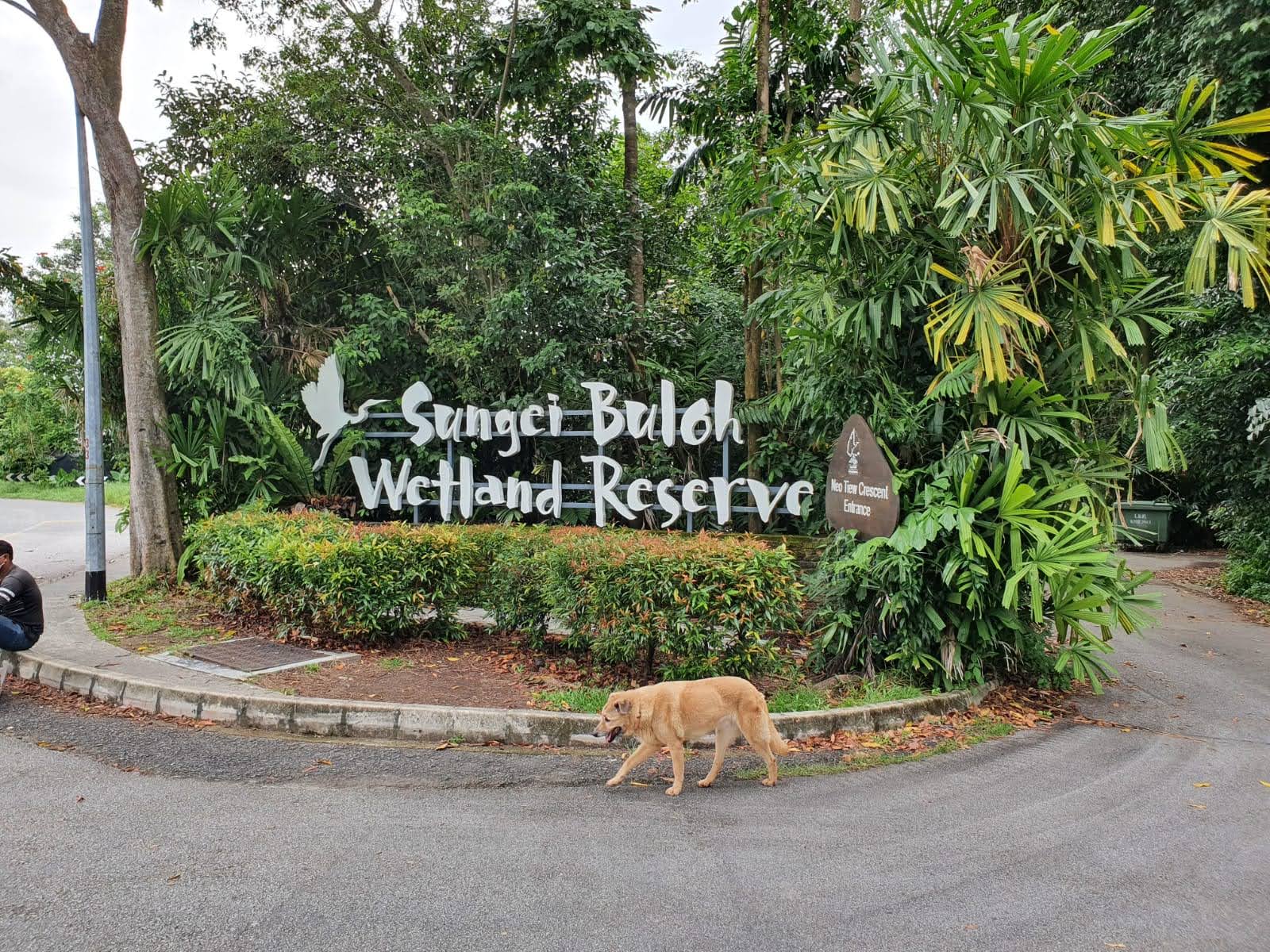 Day at Sungei Buloh ( 26/9/2020) IMG-20200927-WA0157