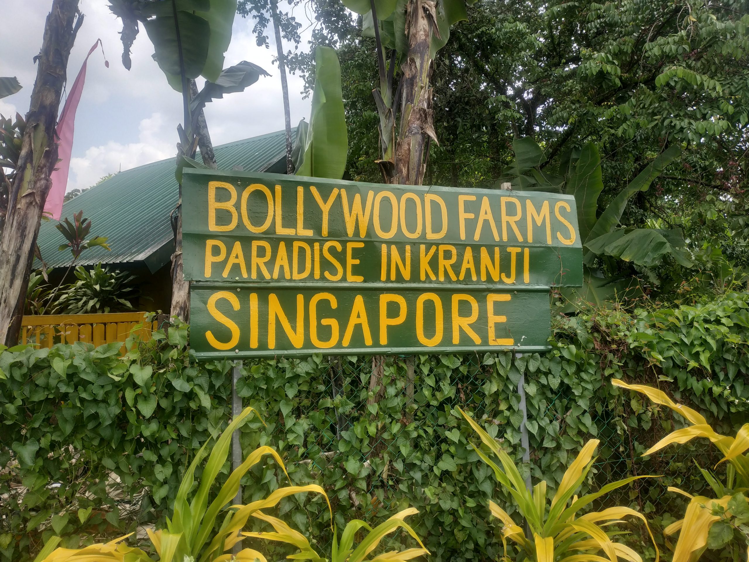 Rainbow Bridge 10/4/2021