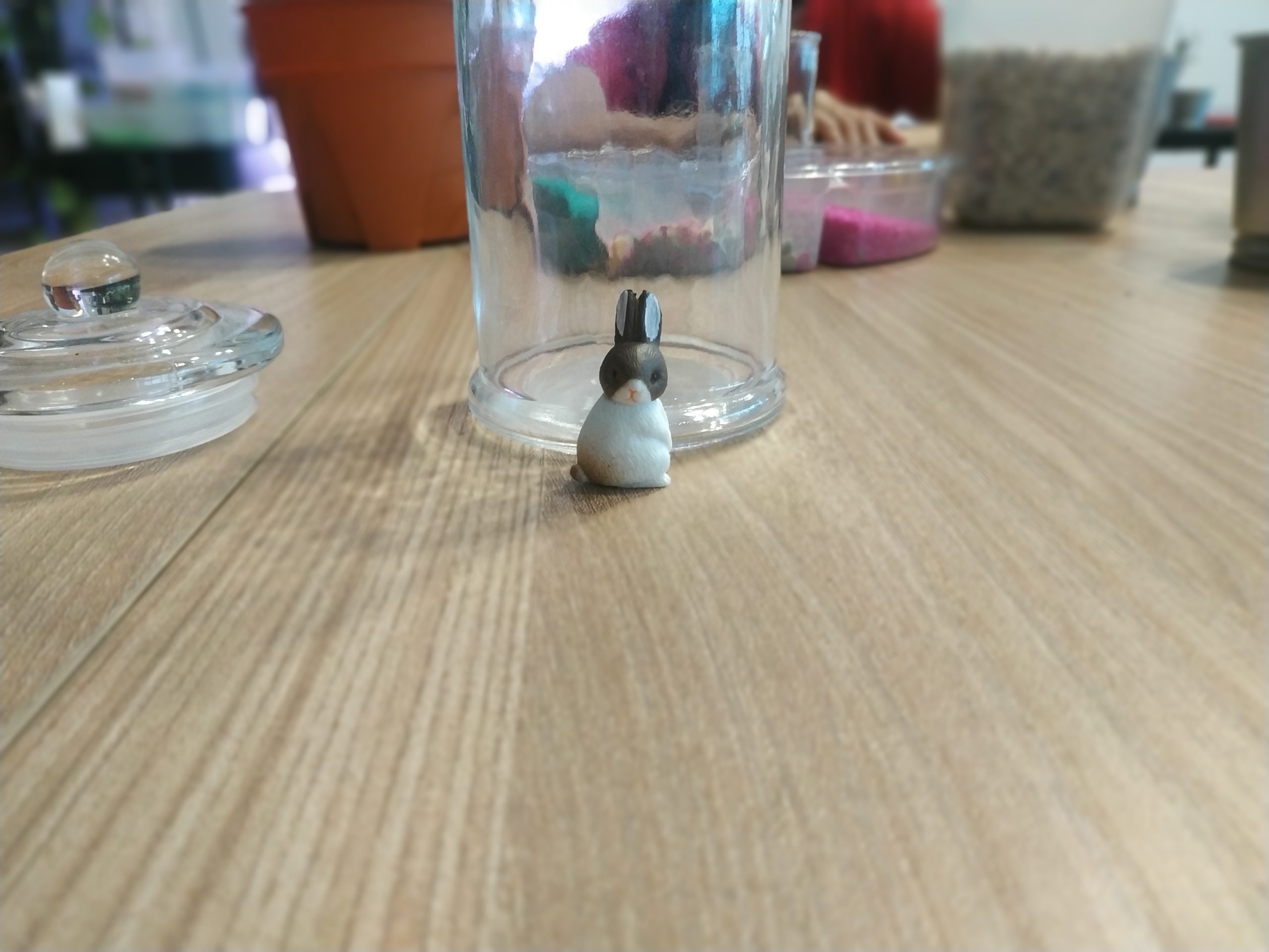 Our day at terrarium workshop 11/4/2021