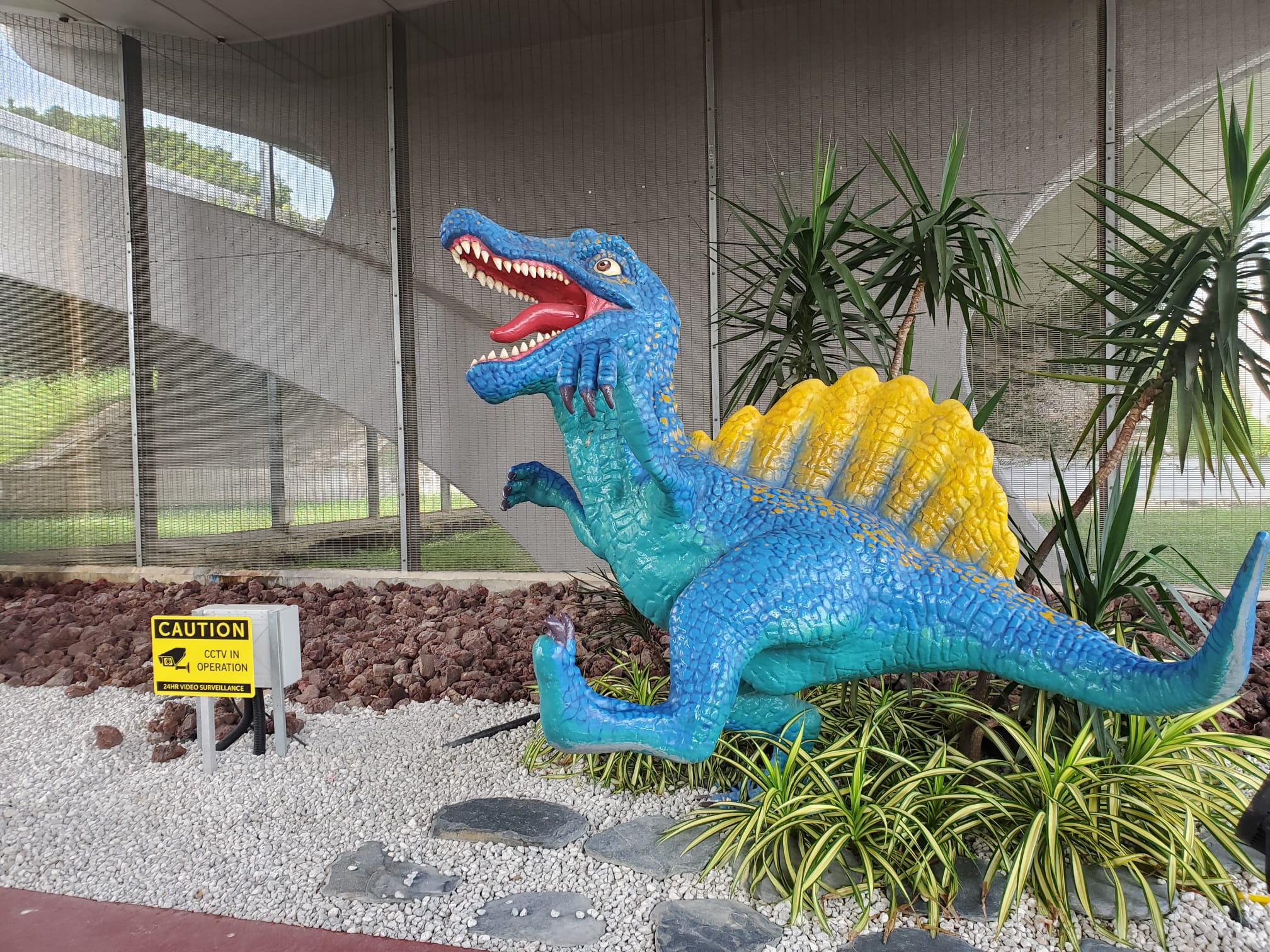 WhatsApp-Image-2022-06-14-at-2.42.24-PM