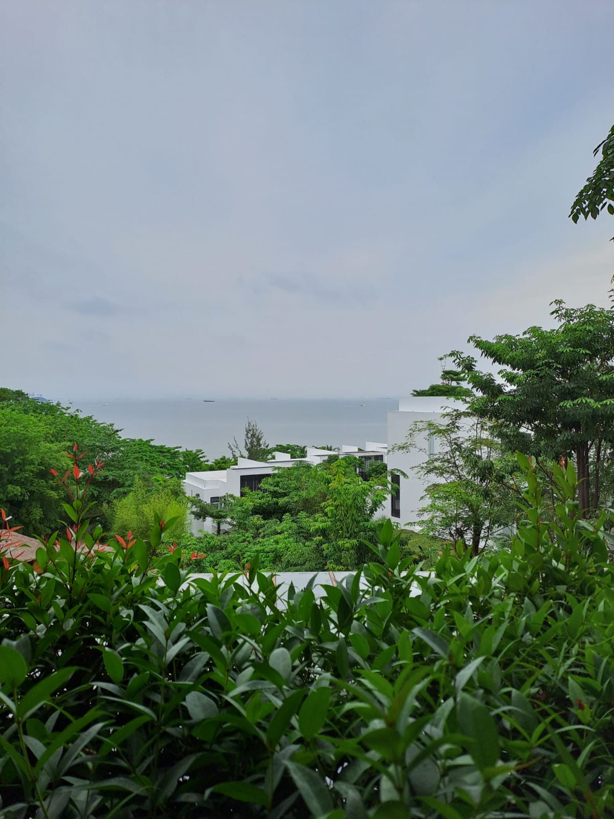 YH’s TIBUT – DSLR time + Iconic locations