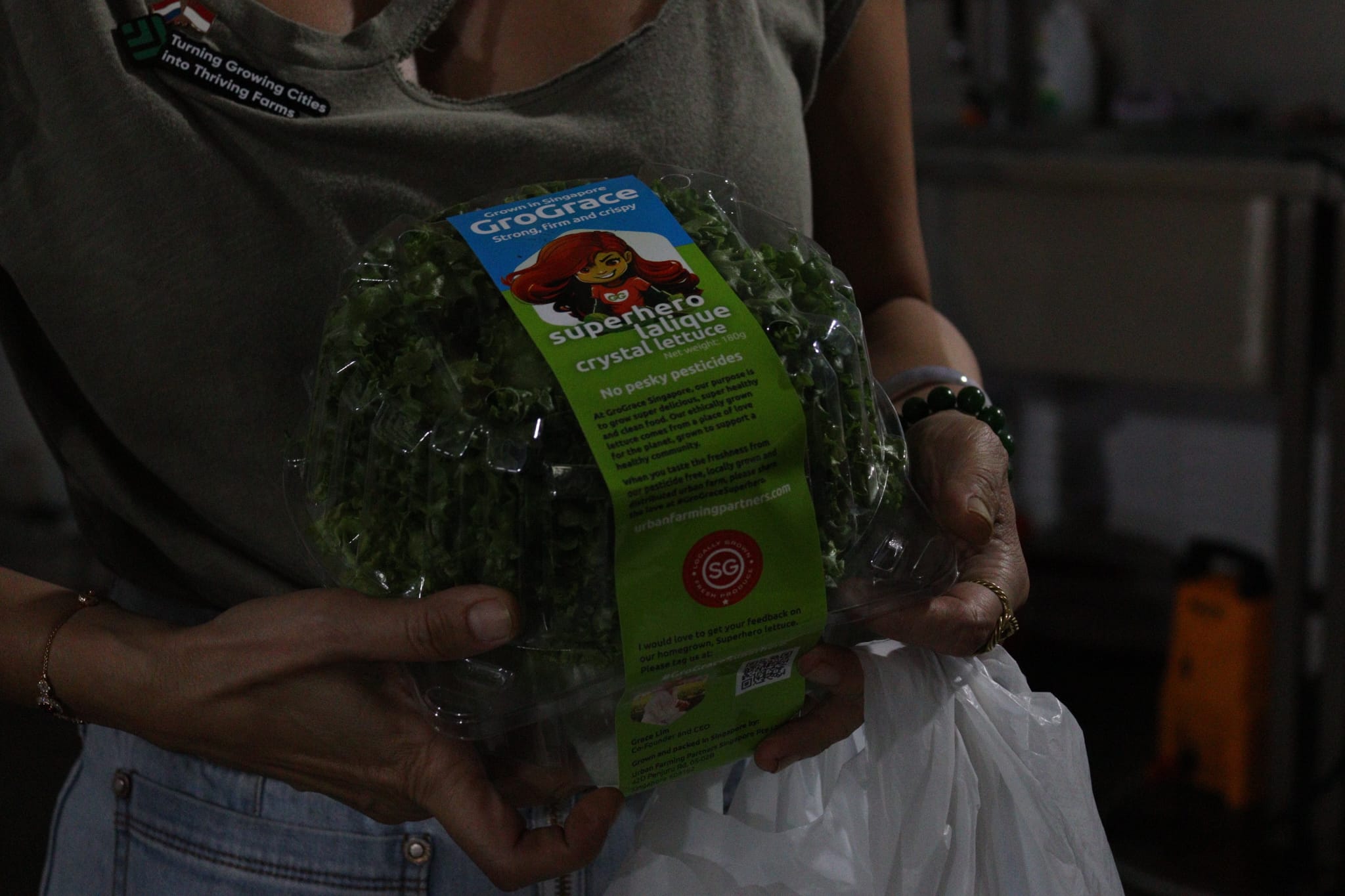 Vertical Urban Farming – GroGrace LJ