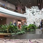 Penang - The Pearl of the Orient