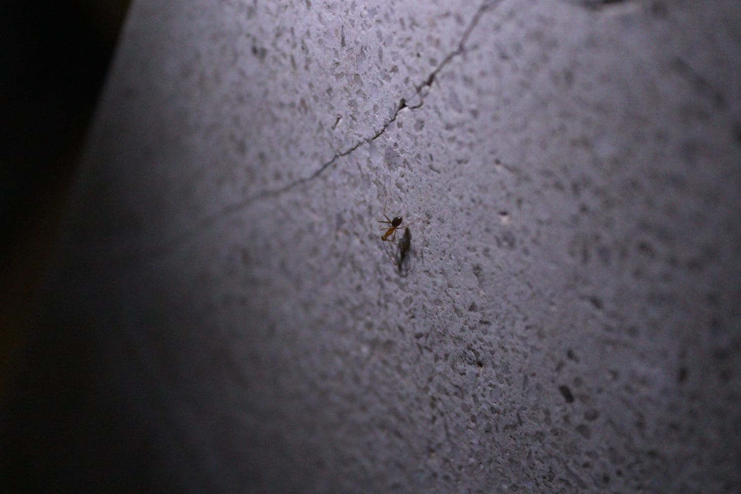 YH’s TIBUT – Pt 2 – Life after holiday