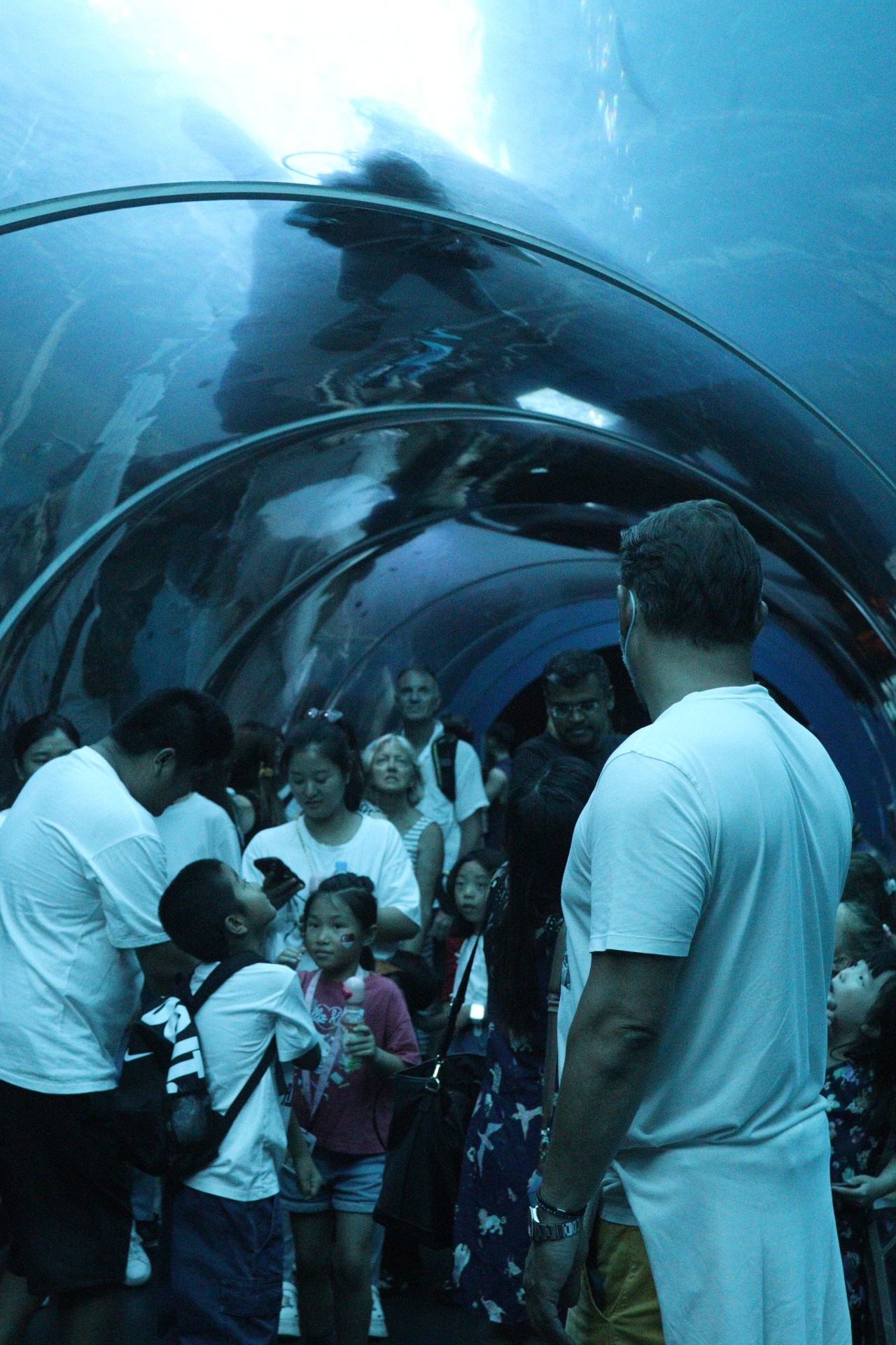 YH’s TIBUT – Pt 5 – Birds and the Benthics