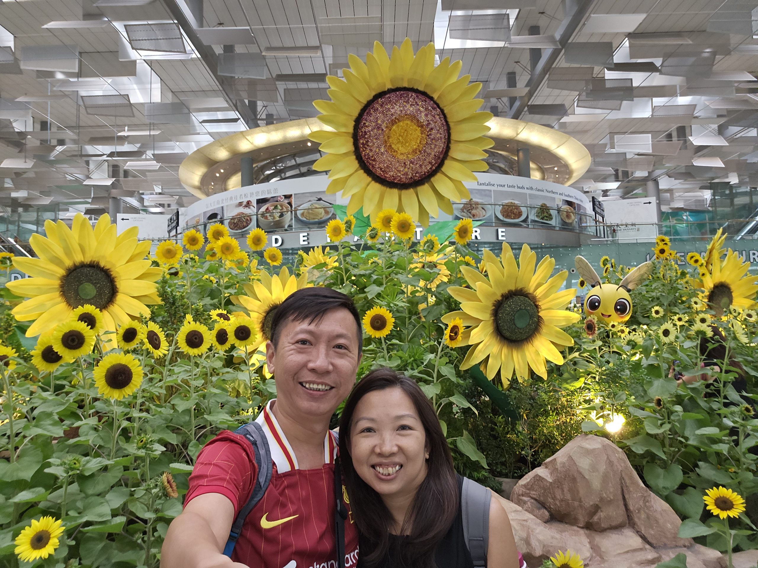sunflower field display at Singapore airport departure hall