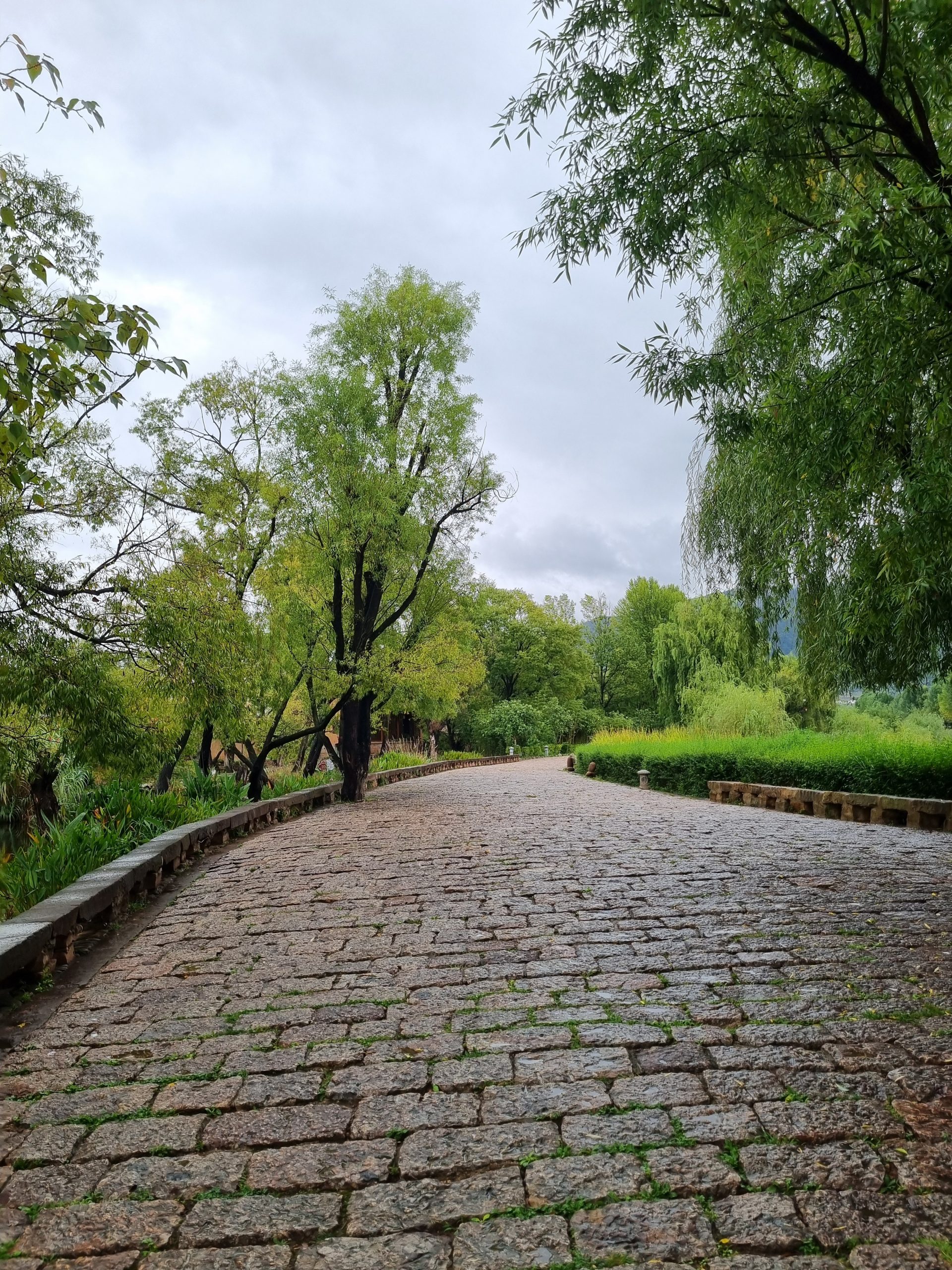 IMG_20240905_114403-1