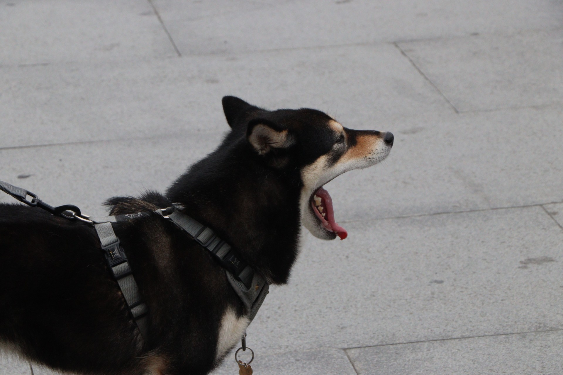 Day 6 – Takeoff Taiwan