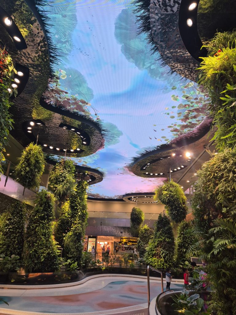 Dreamscape garden in Chengdu Airport Terminal 2 transit area