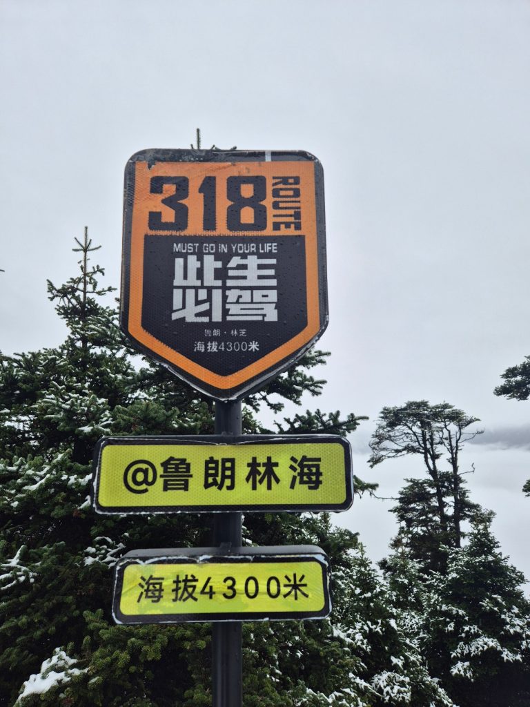 Misty Lulang Forest landscape in Nyingchi