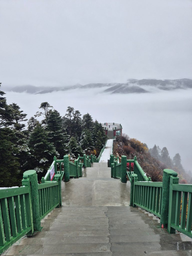 Misty Lulang Forest landscape in Nyingchi