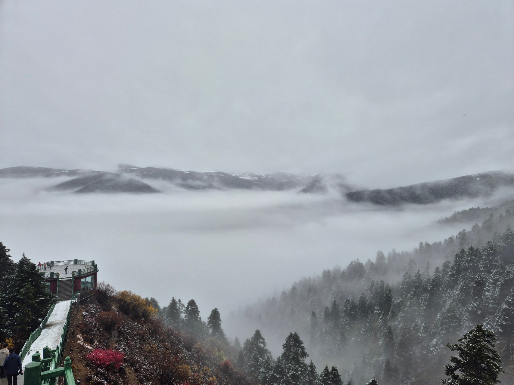 Misty Lulang Forest landscape in Nyingchi