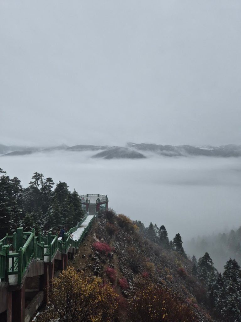 Misty Lulang Forest landscape in Nyingchi