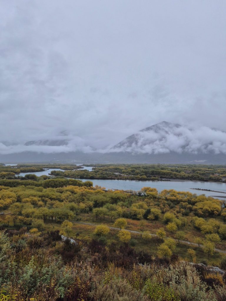 Yani National Wetlands Park scenery