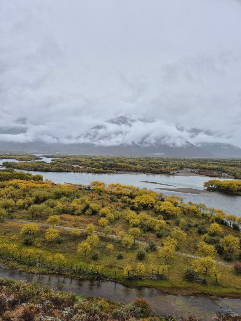 Yani National Wetlands Park scenery
