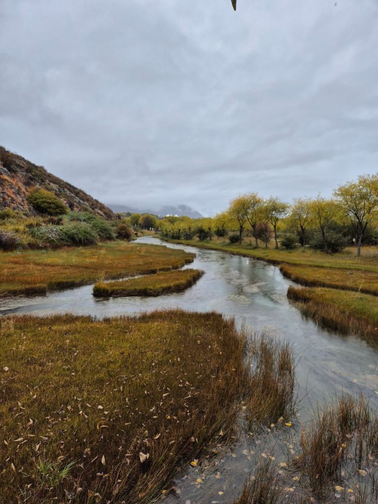 Yani National Wetlands Park scenery