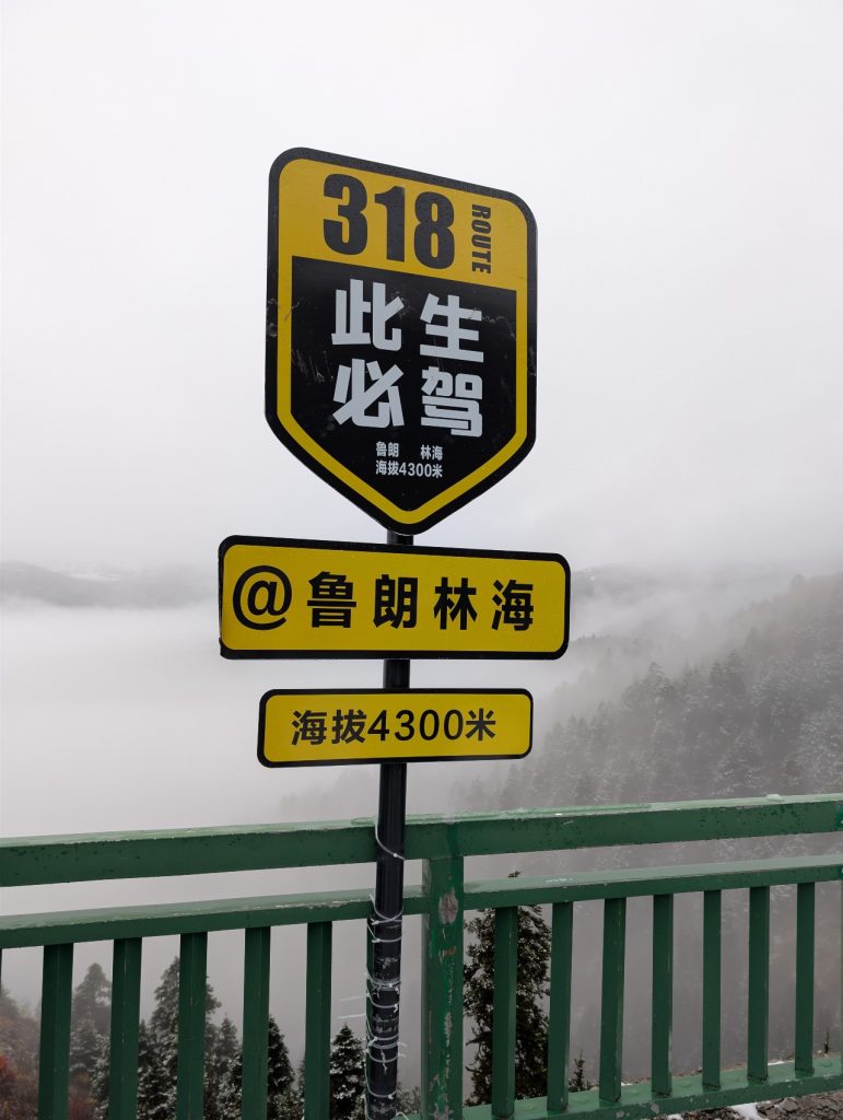 Misty Lulang Forest landscape in Nyingchi
