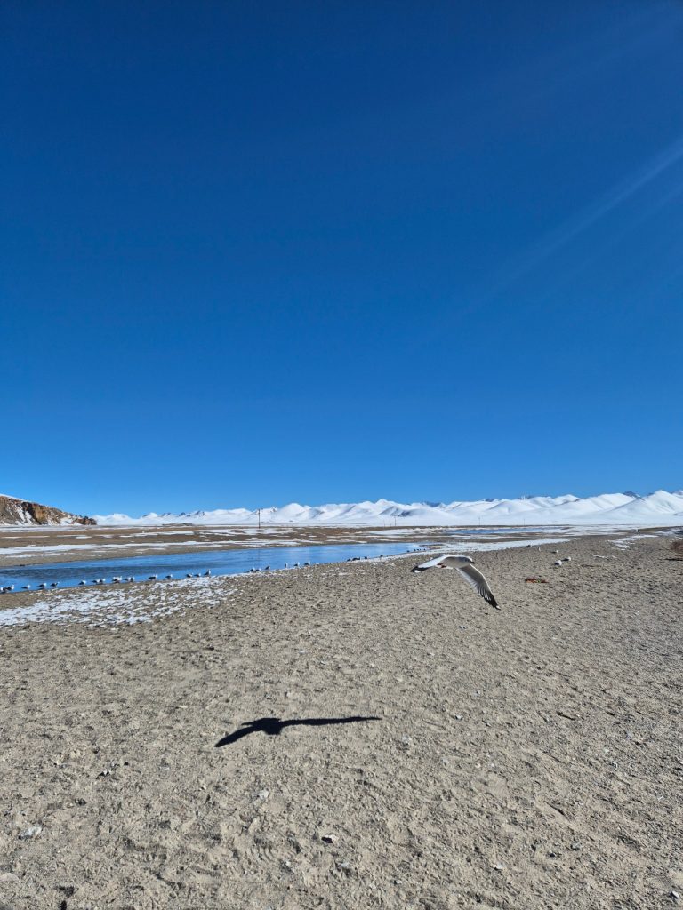 Namtso Lake