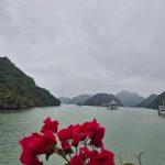 Day 2: 2D1N Halong Bay & Lan Ha Bay Cruise Experience 20260126_101656.jpg_compressed