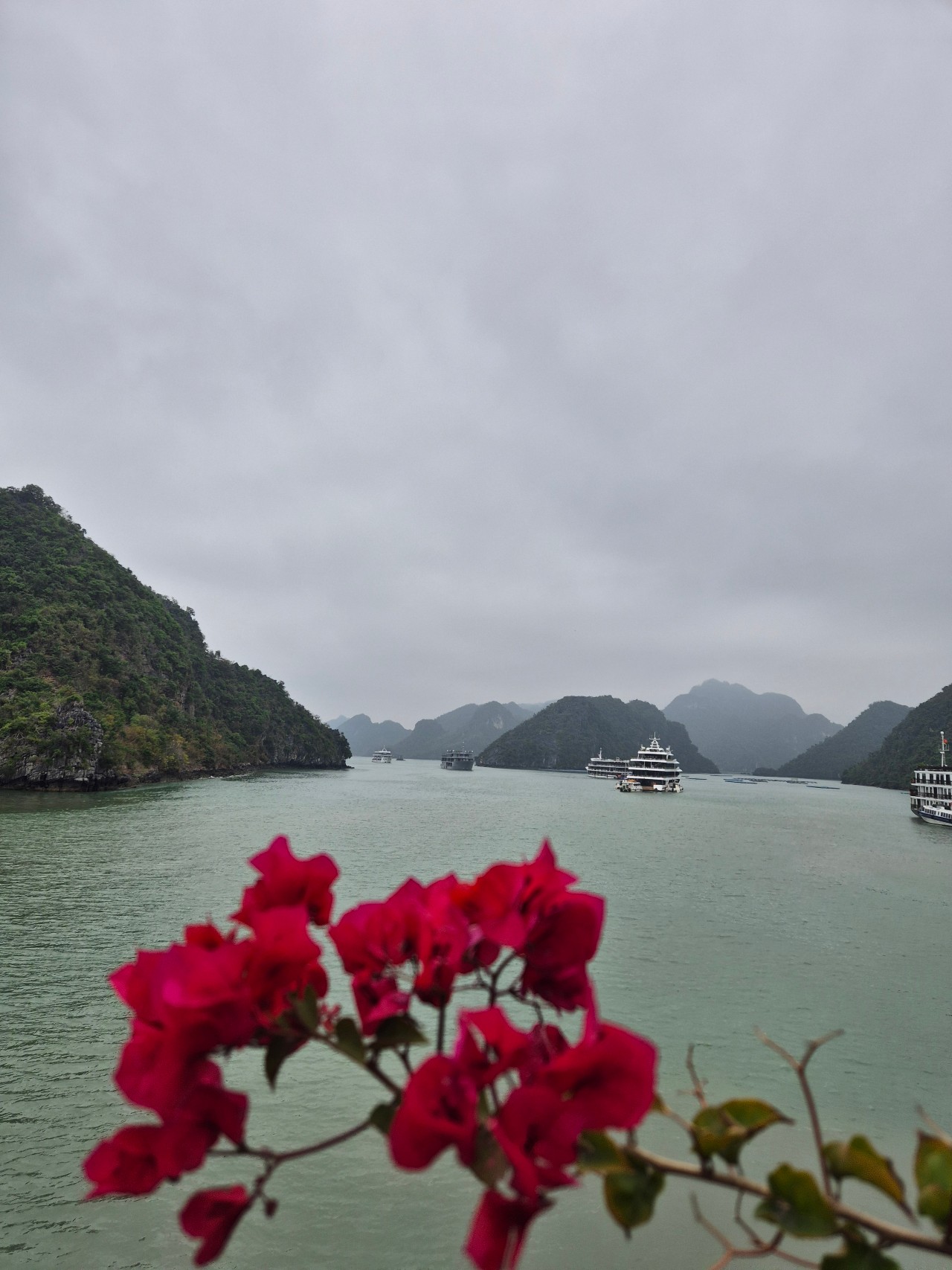 Day 2: 2D1N Halong Bay & Lan Ha Bay Cruise Experience